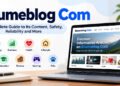Brumeblog Com