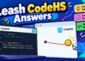 Leash CodeHS Answers