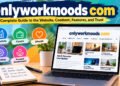 Onlyworkmoods com